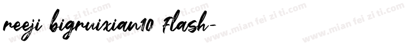 reeji bigruixian10 flash字体转换
